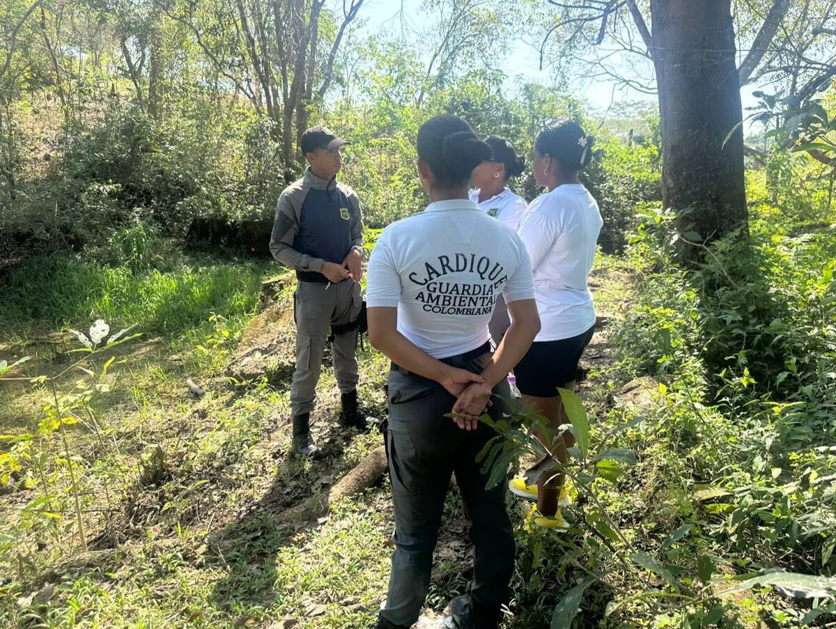 Foto para ilustrar el trabajo que hace la Guardia Ambiental junto a Cardique. // Foto: cortesía - Guardia Ambiental Colombiana