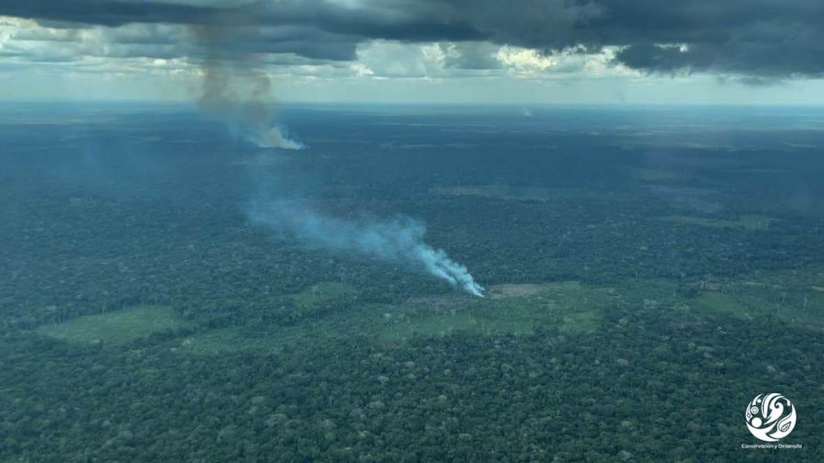 Guerra entre grupos armados deja más de 50 muertos en Guaviare. // Foto: Colprensa.