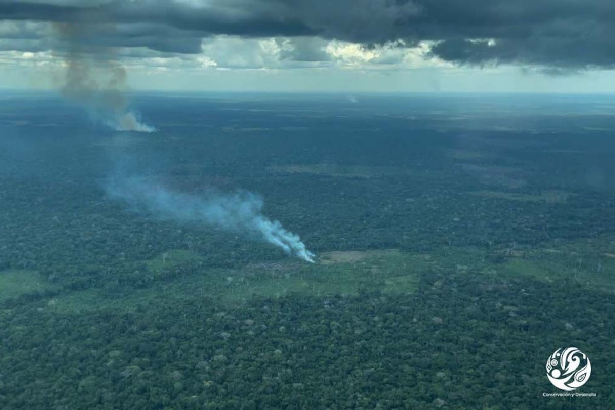 Guerra entre grupos armados deja más de 50 muertos en Guaviare