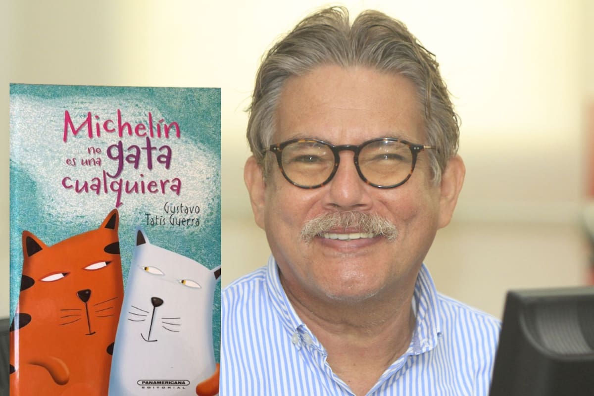 Relanzan la historia de Michelín, la gatita que encontró hogar en El Universal