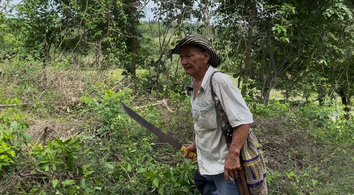 Habitante de El Guamo, Bolívar.
