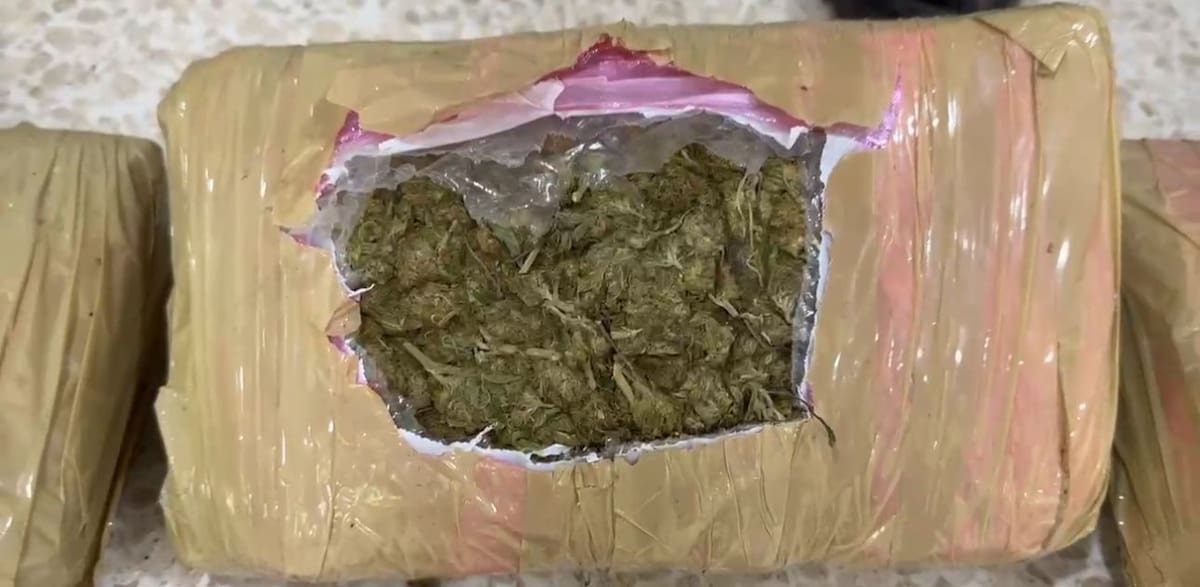 Foto de referencia de marihuana incautada. // Foto: Policía Nacional