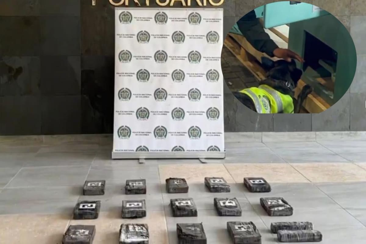 En máquina industrial hallaron más de 14 kilos de droga en el Puerto de Cartagena