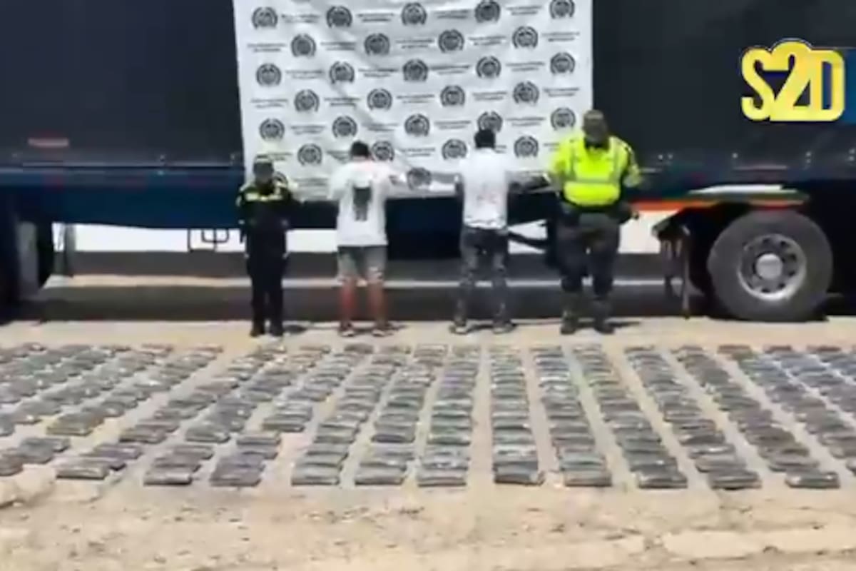 Camuflada entre alimento para mascotas: así ocultaban más de 400 kilos de droga