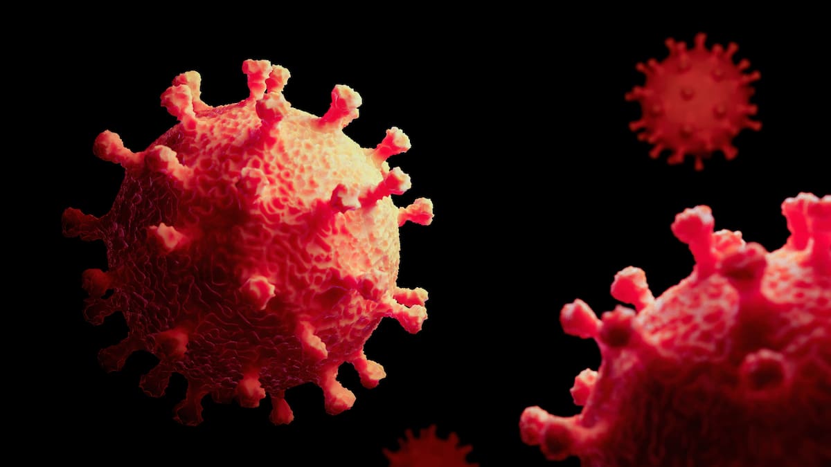Hantavirus. // 123RF