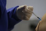 Farmacéutica Moderna confirma estudios para vacuna contra el hantavirus