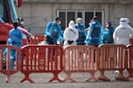 EE. UU. revela cuál es el riesgo real del hantavirus para la población