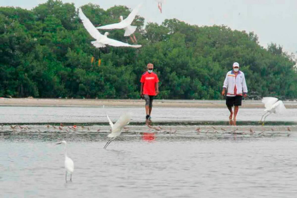 Pescadores protestarán mañana por la ciénaga de La Virgen