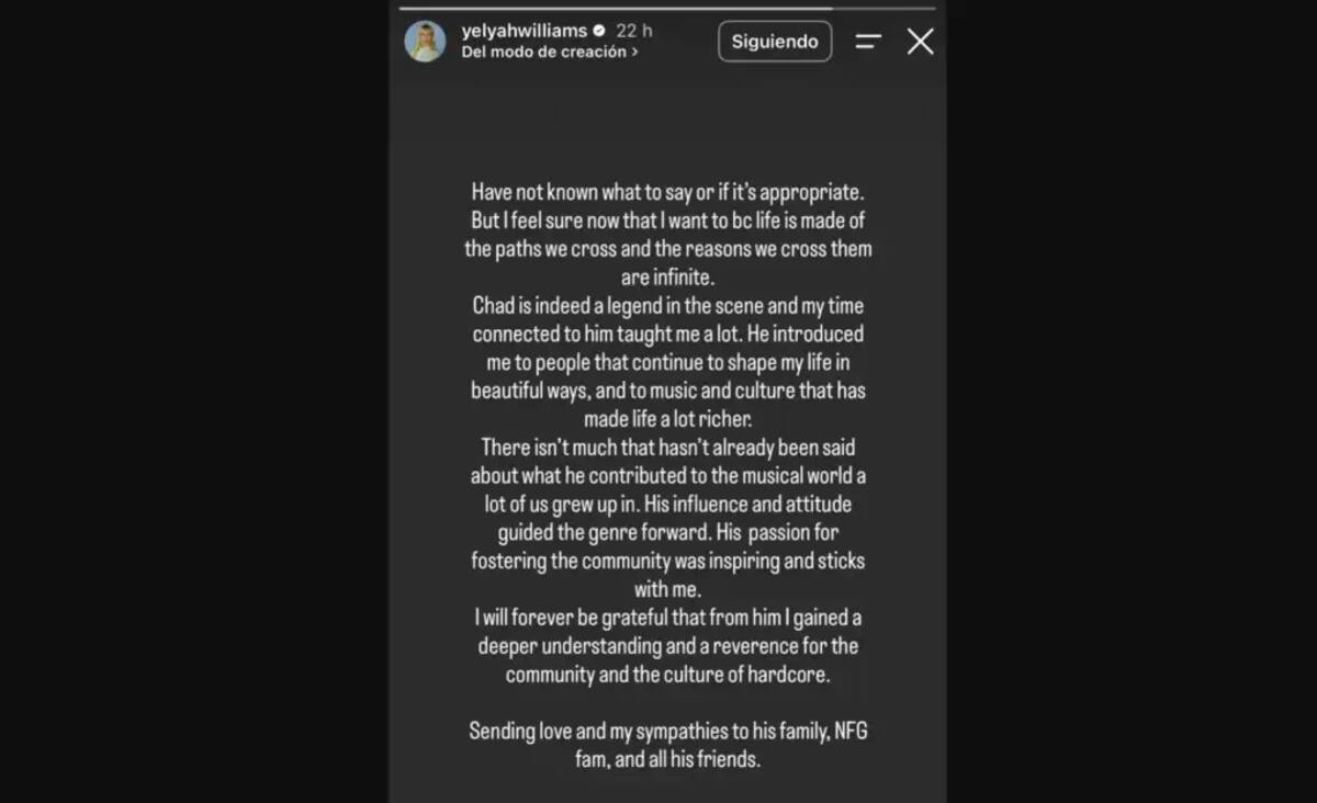 Mnesaje de Hayley Williams sobre la muerte de Chad Gilbert. //Foto: @yelyahwilliams.