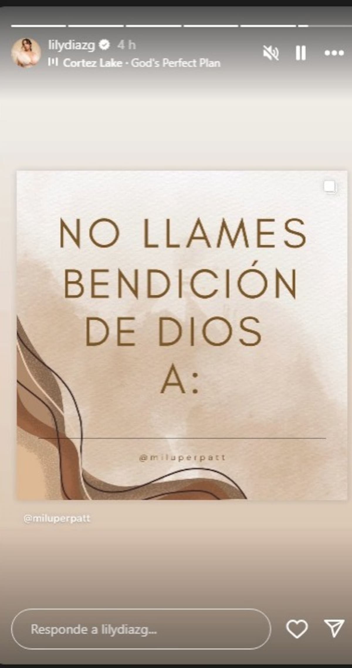 Imagen publicada por Lily Díaz en Instagram. //Foto: @lilydiazg