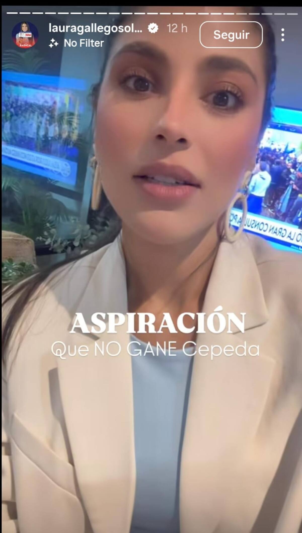 Historias de IG de Laura Gallego sobre las elecciones
