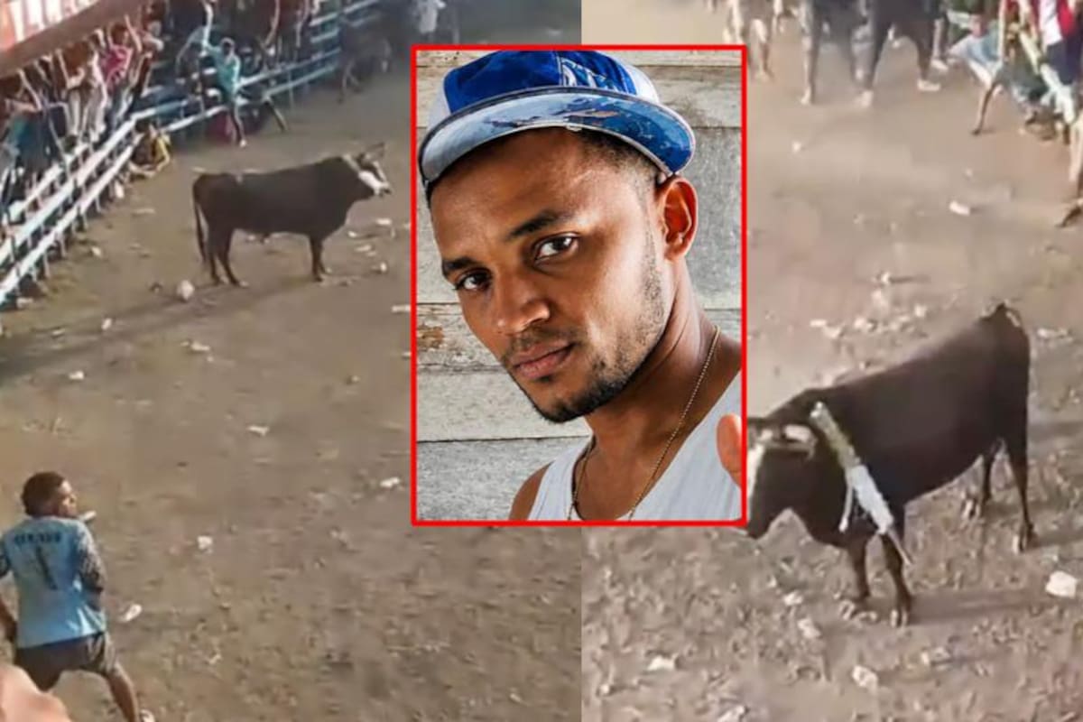 José Molina entró a una corraleja y un toro lo mató: así ocurrió la tragedia