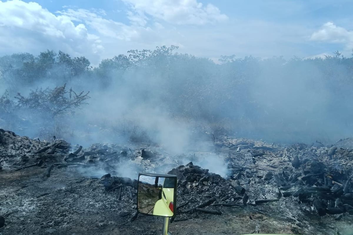 Incendios forestales golpean al Huila: estas son las cifras de lo que va de 2026