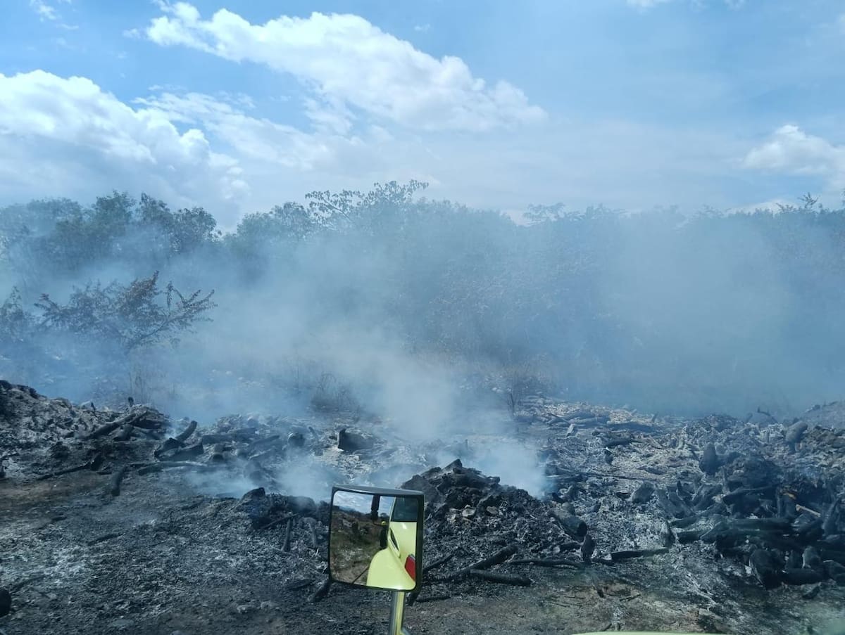 Huila registra 96 incendios forestales y más de 1.100 hectáreas afectadas. // Foto: Colprensa.