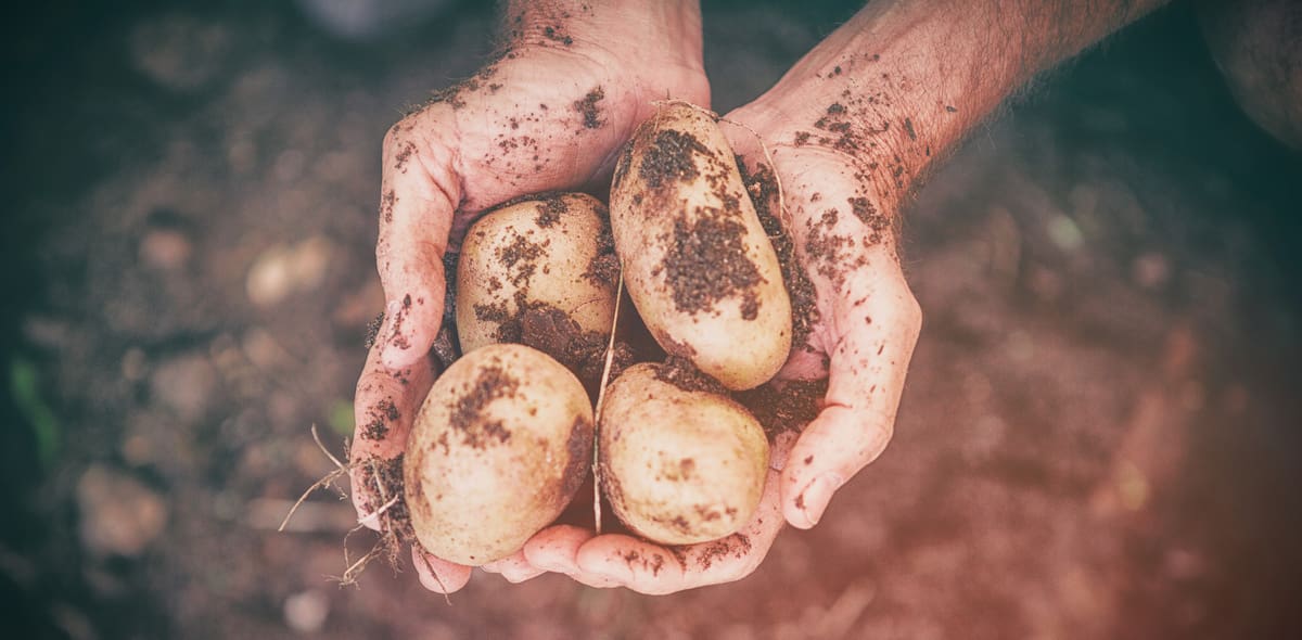 La seguridad alimentaria a partir del desarrollo sostenible rural es uno de los temas claves de la conferencia. //123RF.