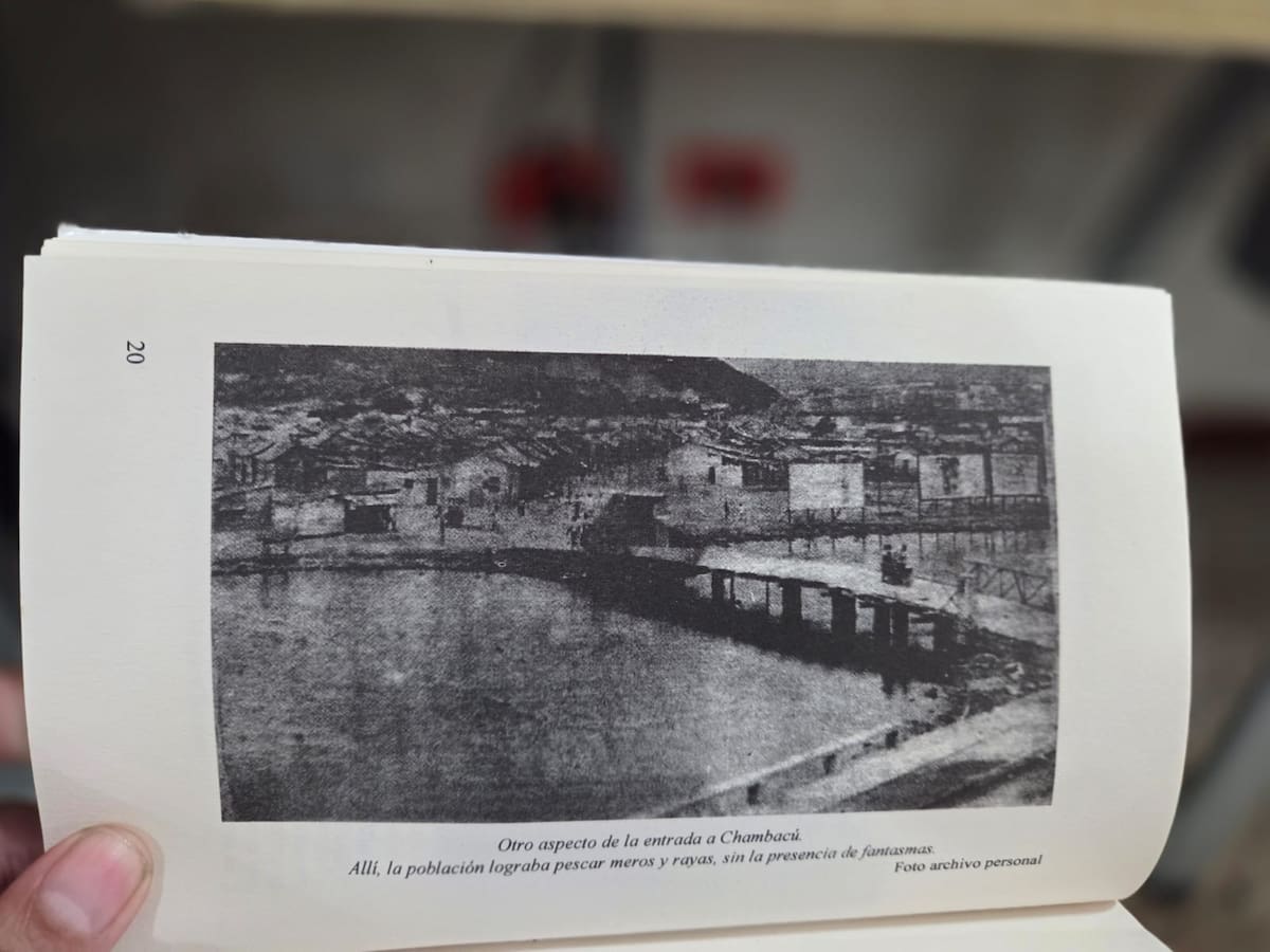 Imagen de archivo de Chambacú