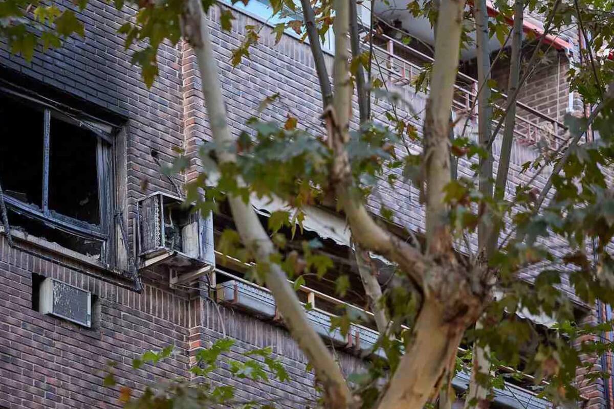 Mueren cuatro personas y tres perros en incendio intencional, en Florida