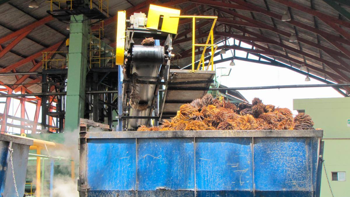 El financiamiento de Finagro ha ayudado a los productores del campo a la adquisición de maquinaria. // HFA - EL UNIVERSAL