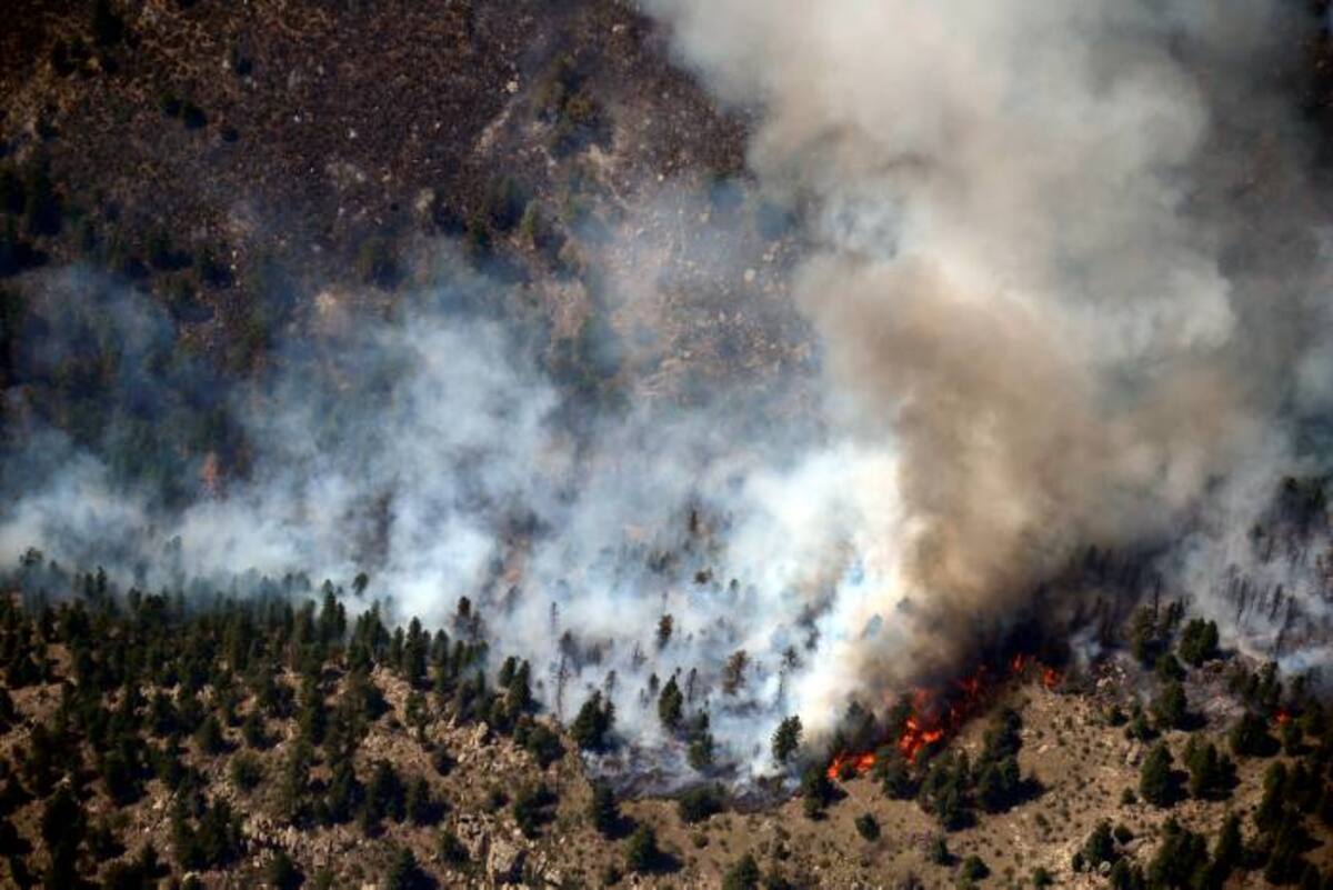 Colorado, que vive su peor incendio en una década y el tercero en importancia de su historia, más de 500 bomberos luchaban contra las llamas el martes. AP Eric Lutzens