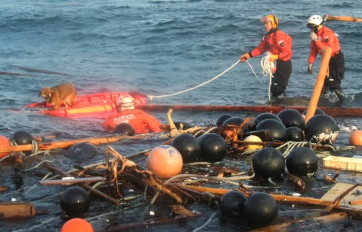 Miembros de guardacosta en Japón, trabajan en lo que podría ser un último intento por recuperar los cadáveres de personas que se llevó el mar hace tres semanas. AP