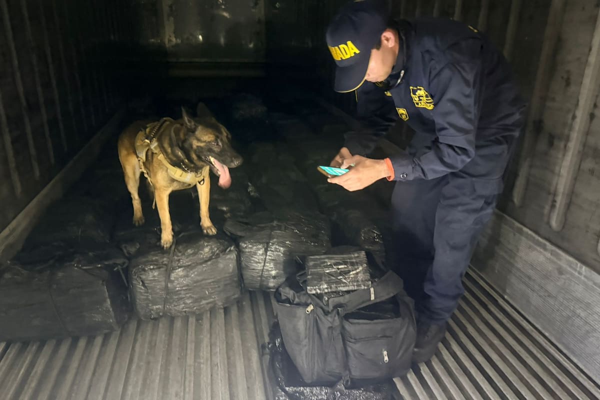 Duro golpe a los narcos: Armada incauta contenedor que llevaba droga para Europa