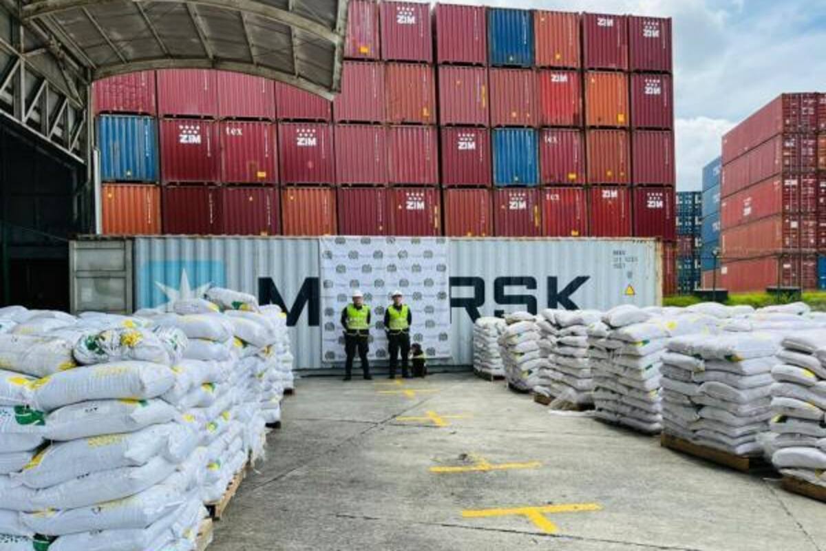Incautan 8 toneladas de cocaína en Buenaventura: ¿quién está detrás?