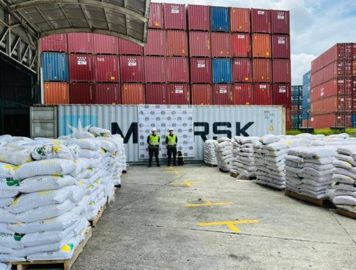 La Policía Nacional incautó 8,2 toneladas de cocaína, en Buenaventura, que tendría como destino España. // Foto: El Tiempo