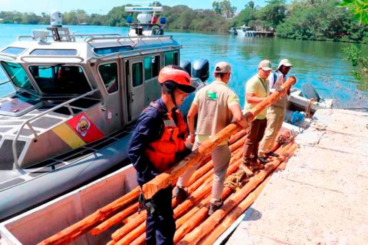 Aumentan delitos contra el medioambiente en Cartagena