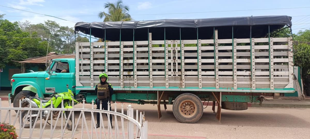 Incautan 38 reses y 3 equinos avaluados en más de $110 millones en Bolívar.