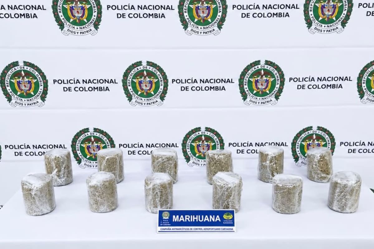 Incautan 8,9 kilos de marihuana en una encomienda que iba a ser vendida en Cartagena