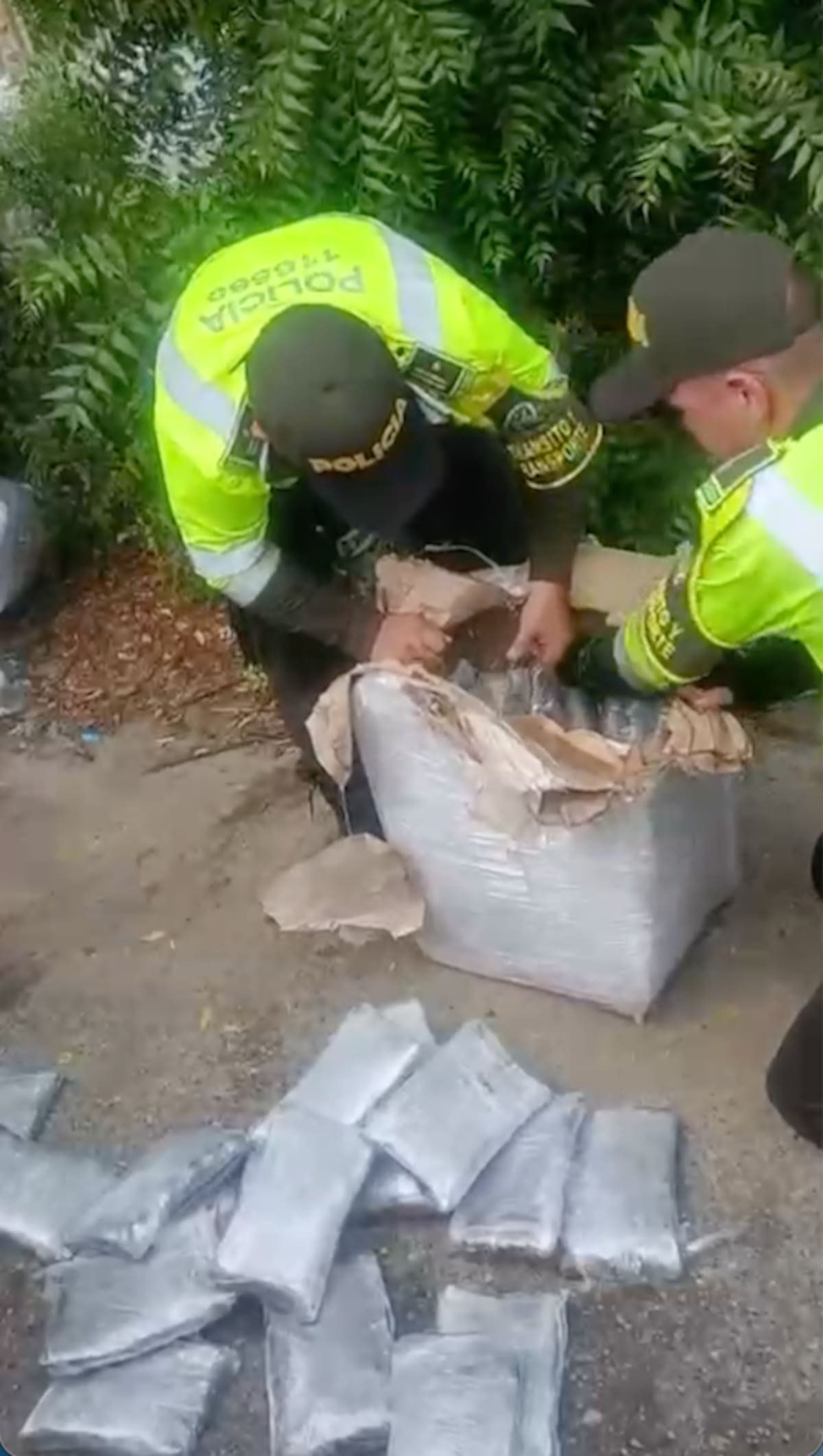 Según las autoridades de Policía del Atlántico, la marihuana incautada en la Vía Oriental iba para Barranquilla.//Cortesía Policía Atlántico.