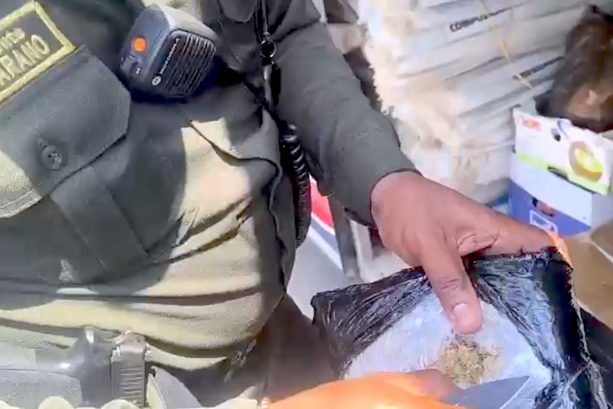 Policía incautó 6 mil dosis de marihuana ocultas en un parlante de sonido