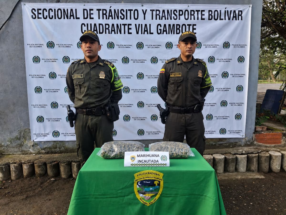 Incautan marihuana escondida en encomiendas durante operativo en Maríalabaja. // Foto: Policía Metropolitana