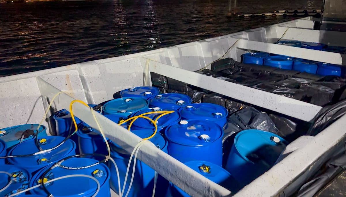 Incautan más de 3.100 kilos de cocaína que iban rumbo a Centroamérica. // Foto: Armada Nacional