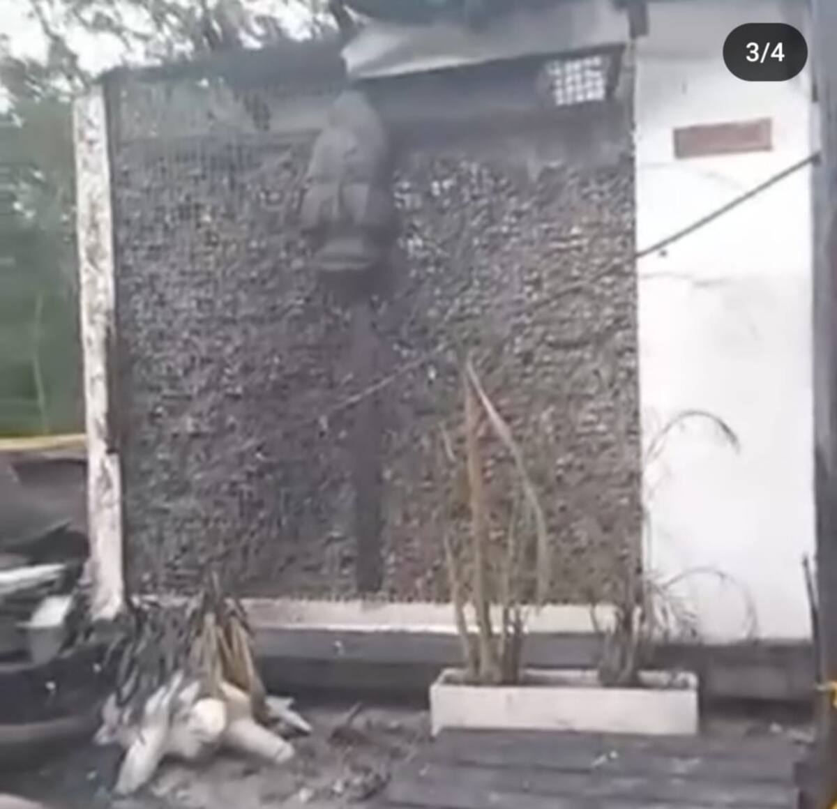 Incendio en un hotel de las Islas del Rosario.