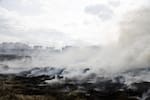 Incendio forestal mantiene en alerta al Tolima