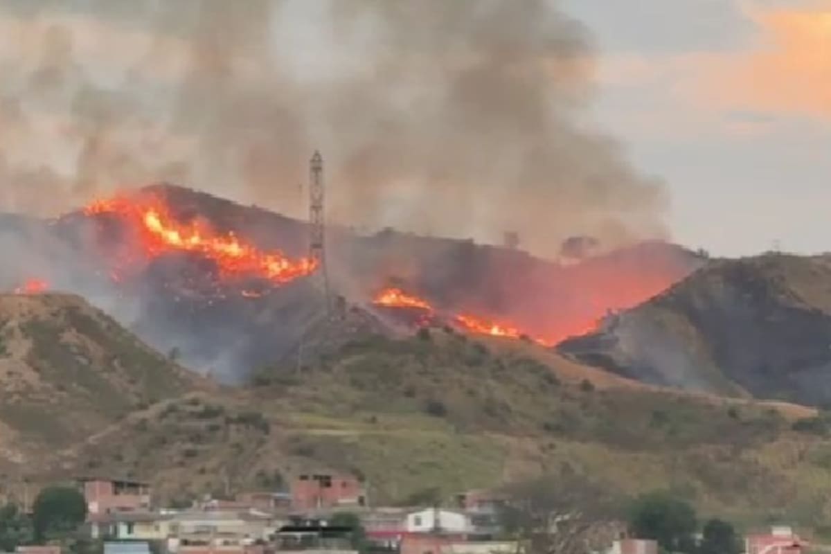 Grave incendio forestal se registró en Girón