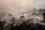 Video: Así celebró gobernadora del Tolima el regreso de las lluvias tras semanas de incendios forestales