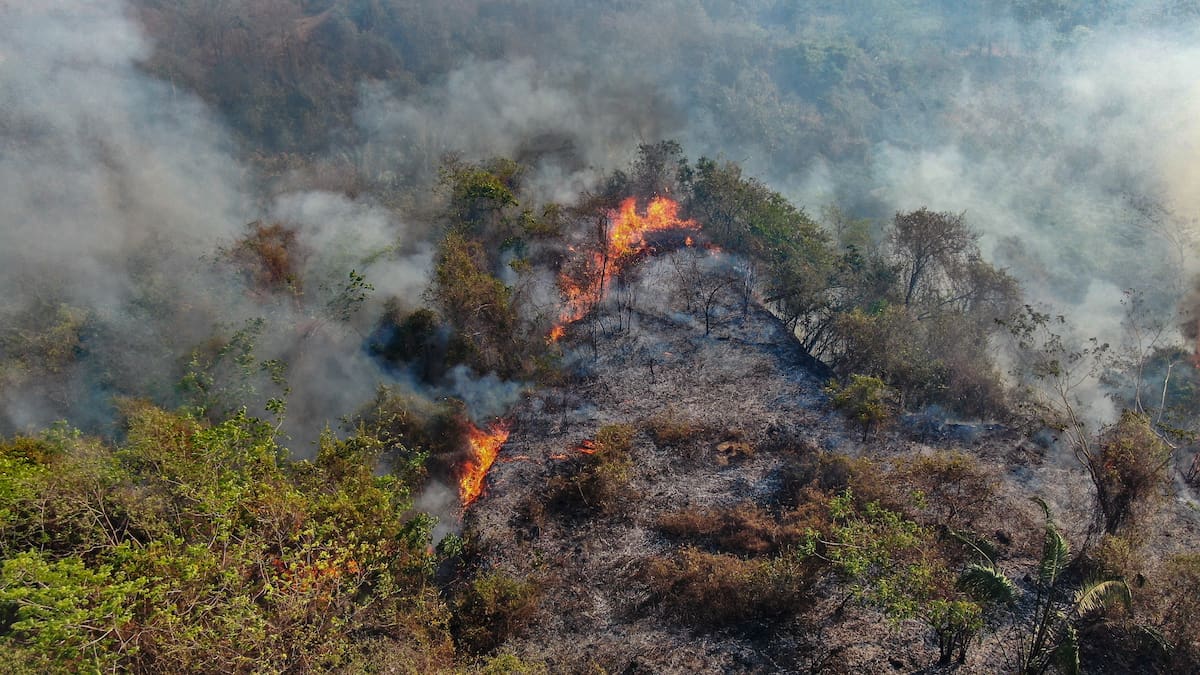 Incendios forestales en Tolima dejan una alerta por las ayudas. // Foto: Colprensa - Externos (Corporación Autónoma Regional del Tolima -Cortolima).