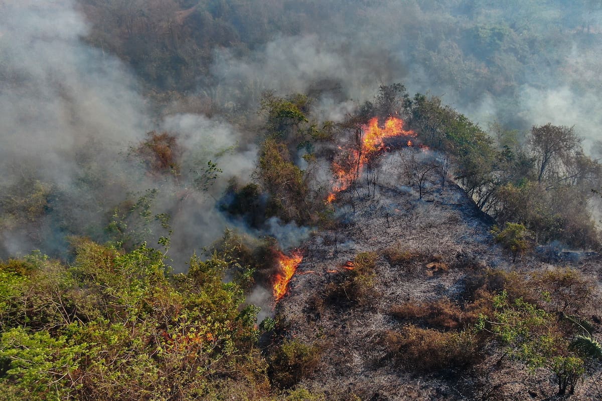 Autoridades confirman que se han controlado el 84 % de los incendios forestales en el Tolima