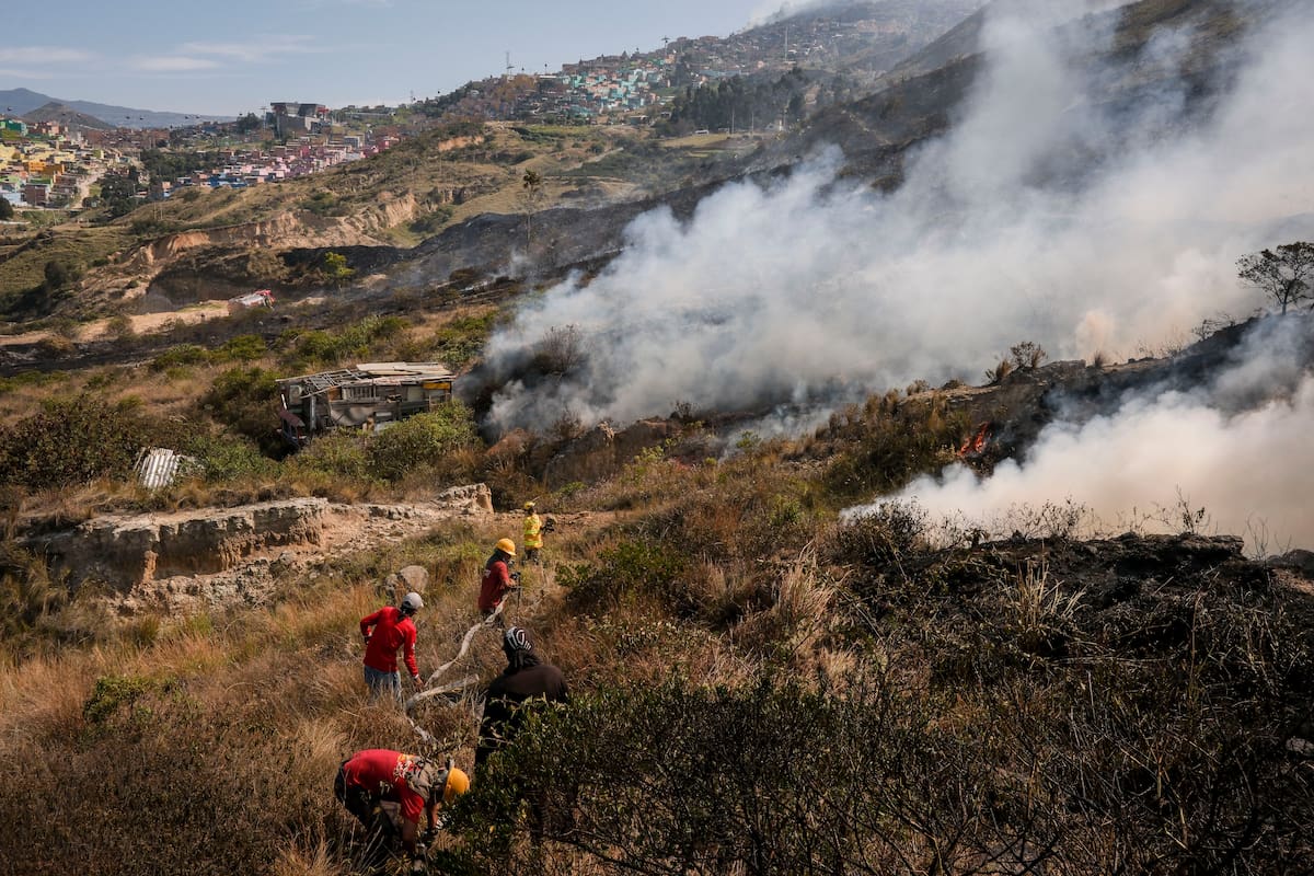 20 días de incendio forestal tienen en riesgo a un bosque nativo en Santander