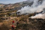 20 días de incendio forestal tienen en riesgo a un bosque nativo en Santander