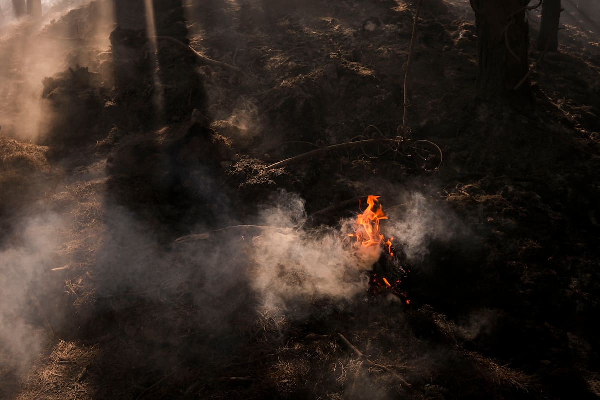 Imagen de referencia de incendios forestales en Colombia. // Foto: Colprensa - Mariano Vimos.