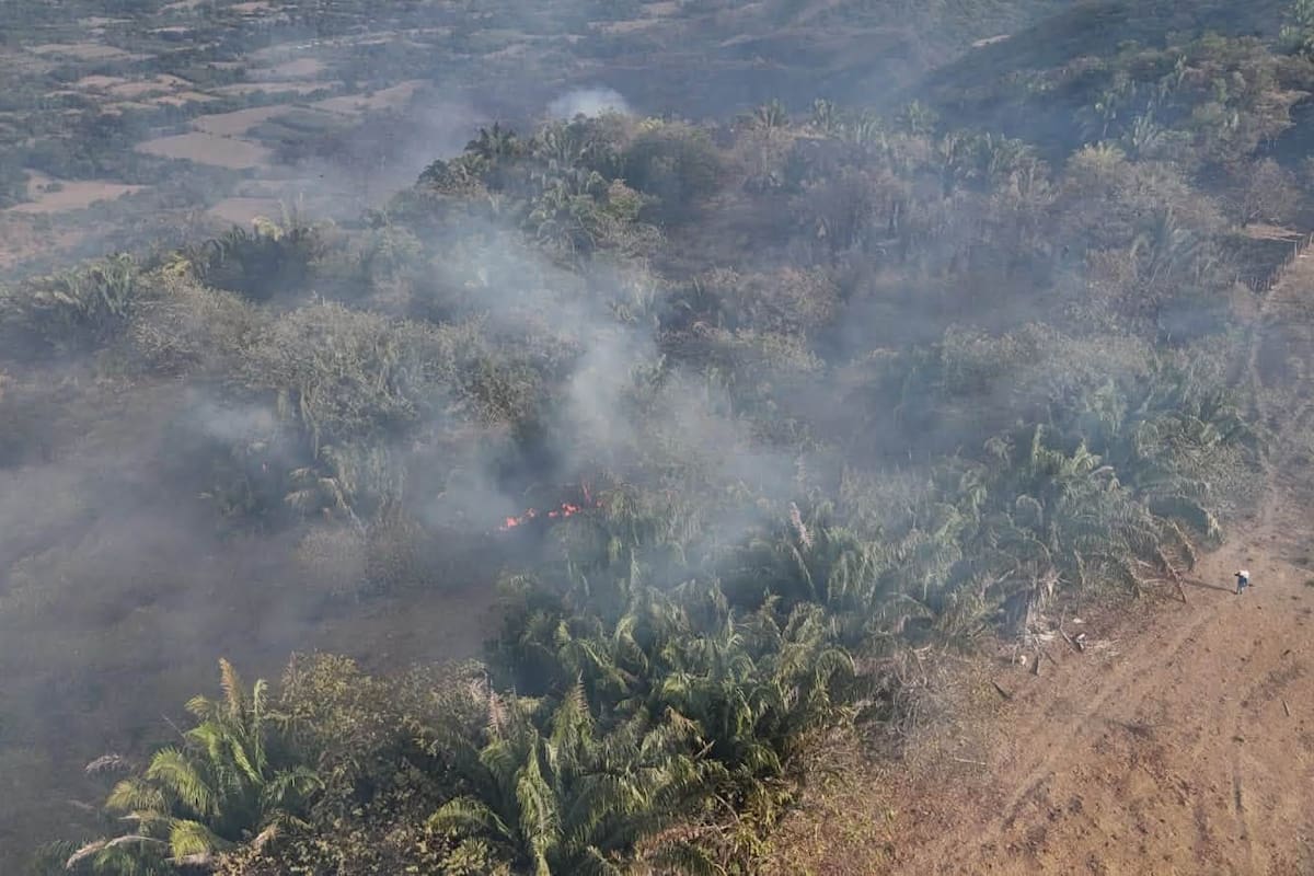 Petro responde a Rodrigo Lara por señalamientos contra la “primera línea” en incendios del Tolima