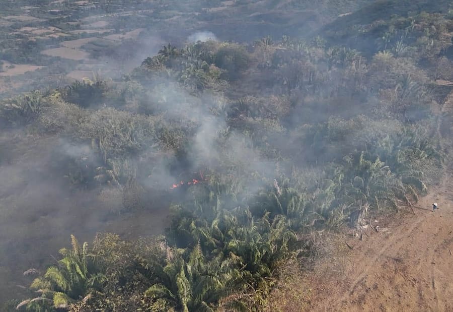 Petro responde a Rodrigo Lara por señalamientos contra la “primera línea” en incendios del Tolima