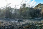 Incendios en Tolima ya consumen más de 31.000 hectáreas de cobertura vegetal