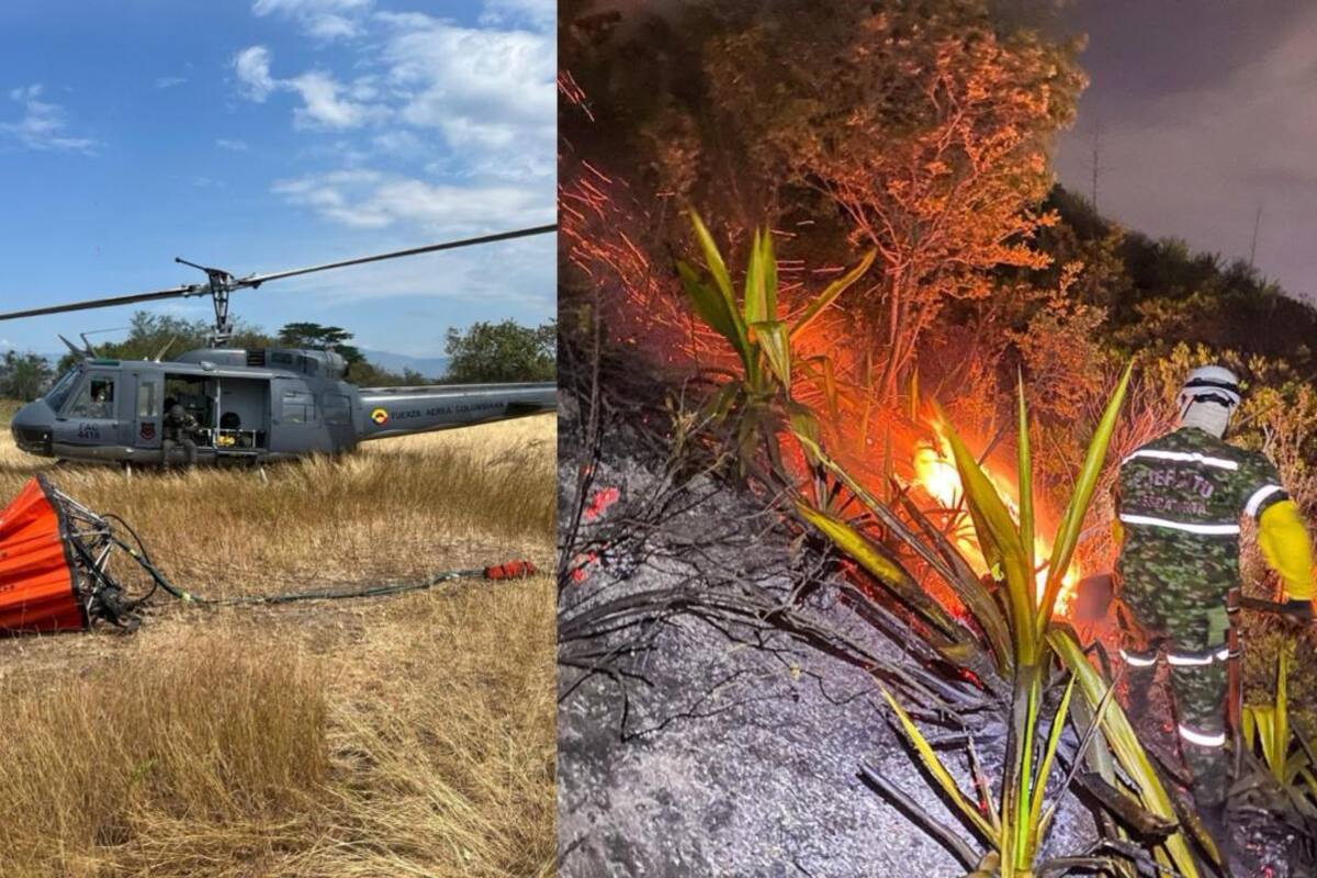 31 incendios forestales en Colombia destruyen más de 10.000 hectáreas