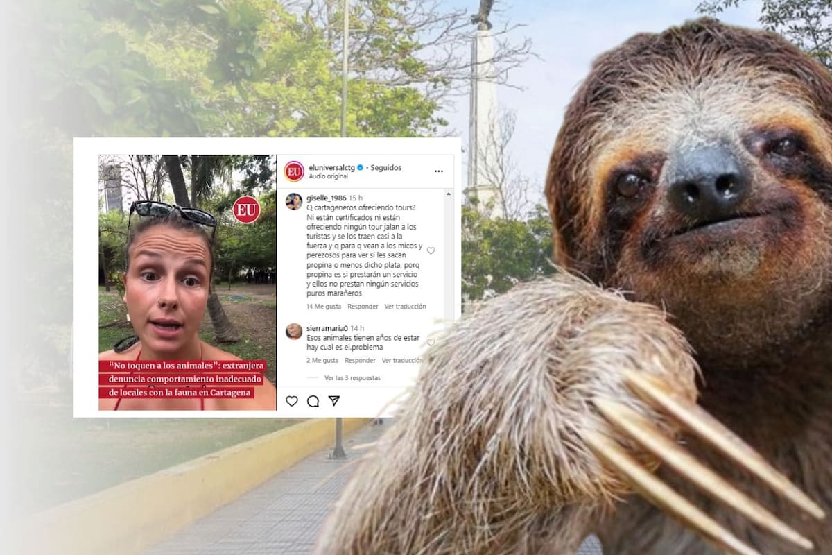 Influencer denuncia abuso de fauna en el Parque Centenario, esto hará el EPA