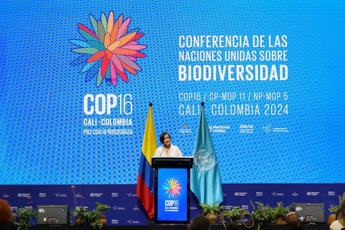 Estas son las amenazas para los ecosistemas en el mundo: COP16