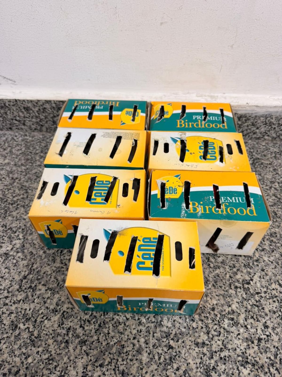 Intentaban sacar 18 aves del país. // Foto: captura de pantalla